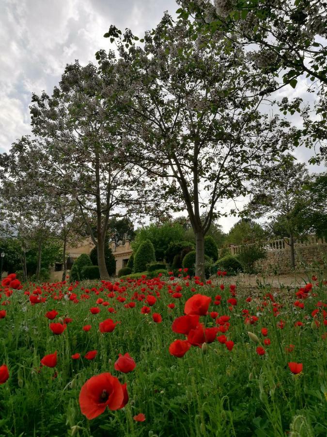 Finca La Celada Casa de hóspedes Moratalla  Exterior foto